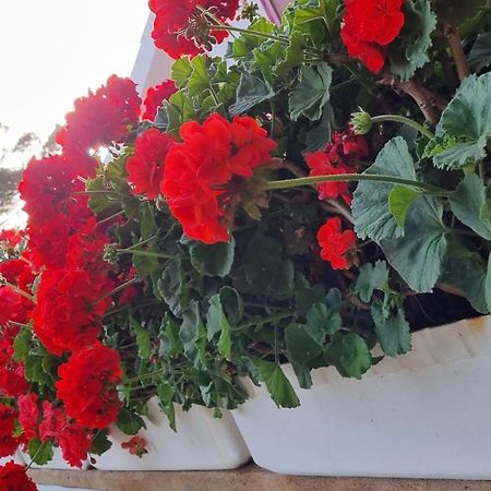 Finca Sa Cova De Mallorca سينييس المظهر الخارجي الصورة