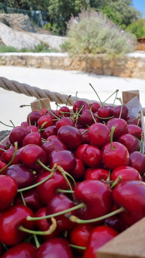 Finca Sa Cova De Mallorca سينييس المظهر الخارجي الصورة