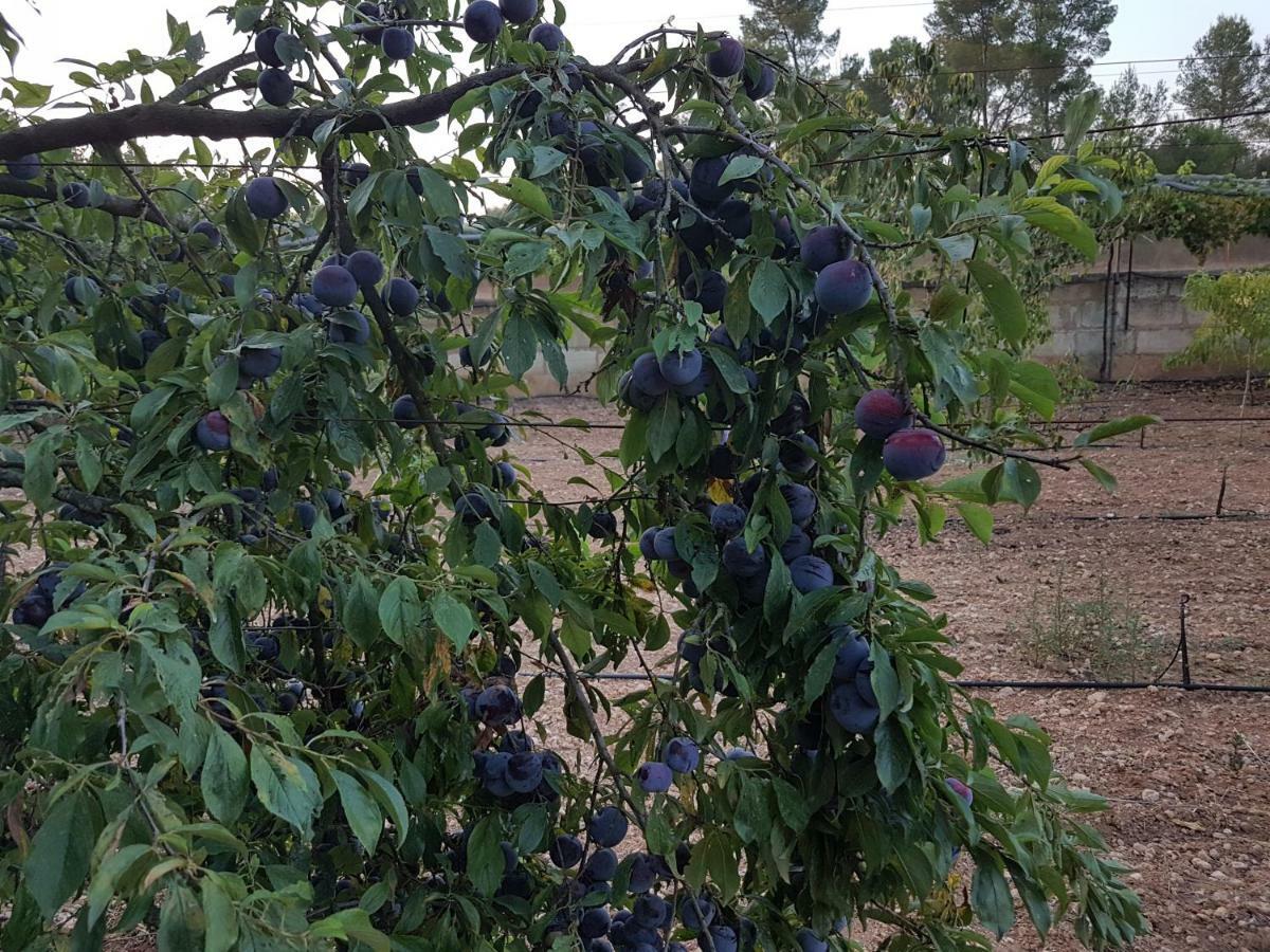 Finca Sa Cova De Mallorca سينييس المظهر الخارجي الصورة