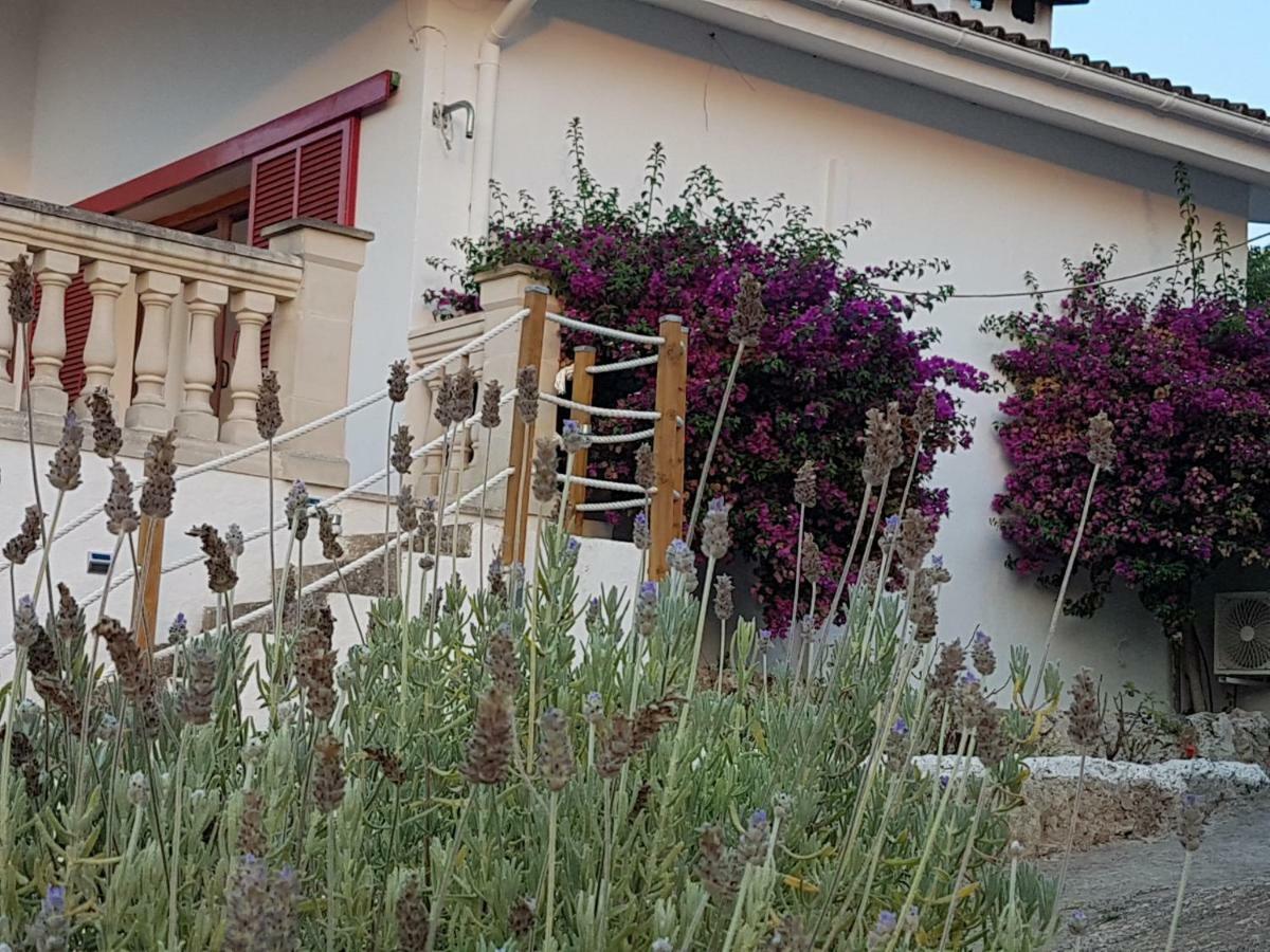Finca Sa Cova De Mallorca سينييس المظهر الخارجي الصورة