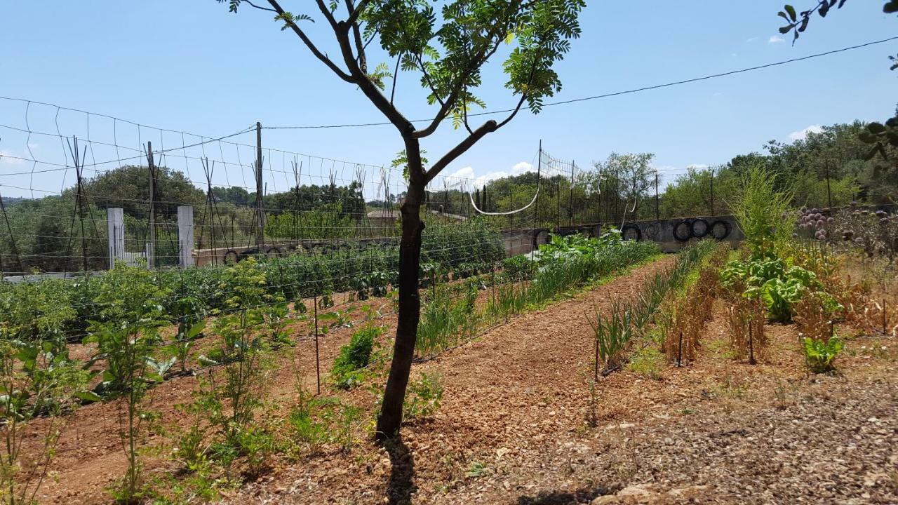 Finca Sa Cova De Mallorca سينييس المظهر الخارجي الصورة