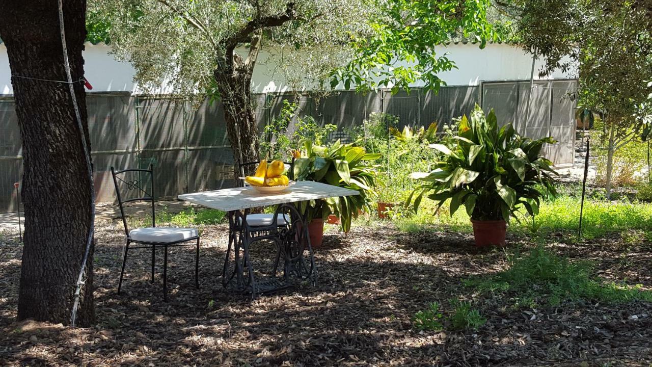 Finca Sa Cova De Mallorca سينييس المظهر الخارجي الصورة