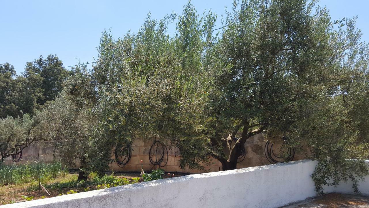 Finca Sa Cova De Mallorca سينييس المظهر الخارجي الصورة