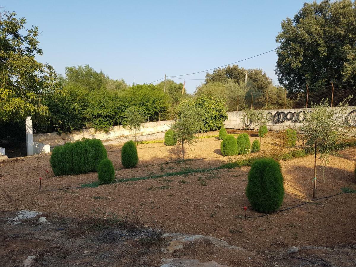Finca Sa Cova De Mallorca سينييس المظهر الخارجي الصورة