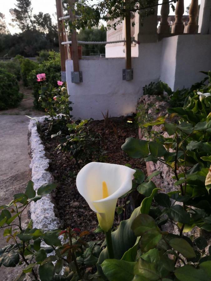Finca Sa Cova De Mallorca سينييس المظهر الخارجي الصورة