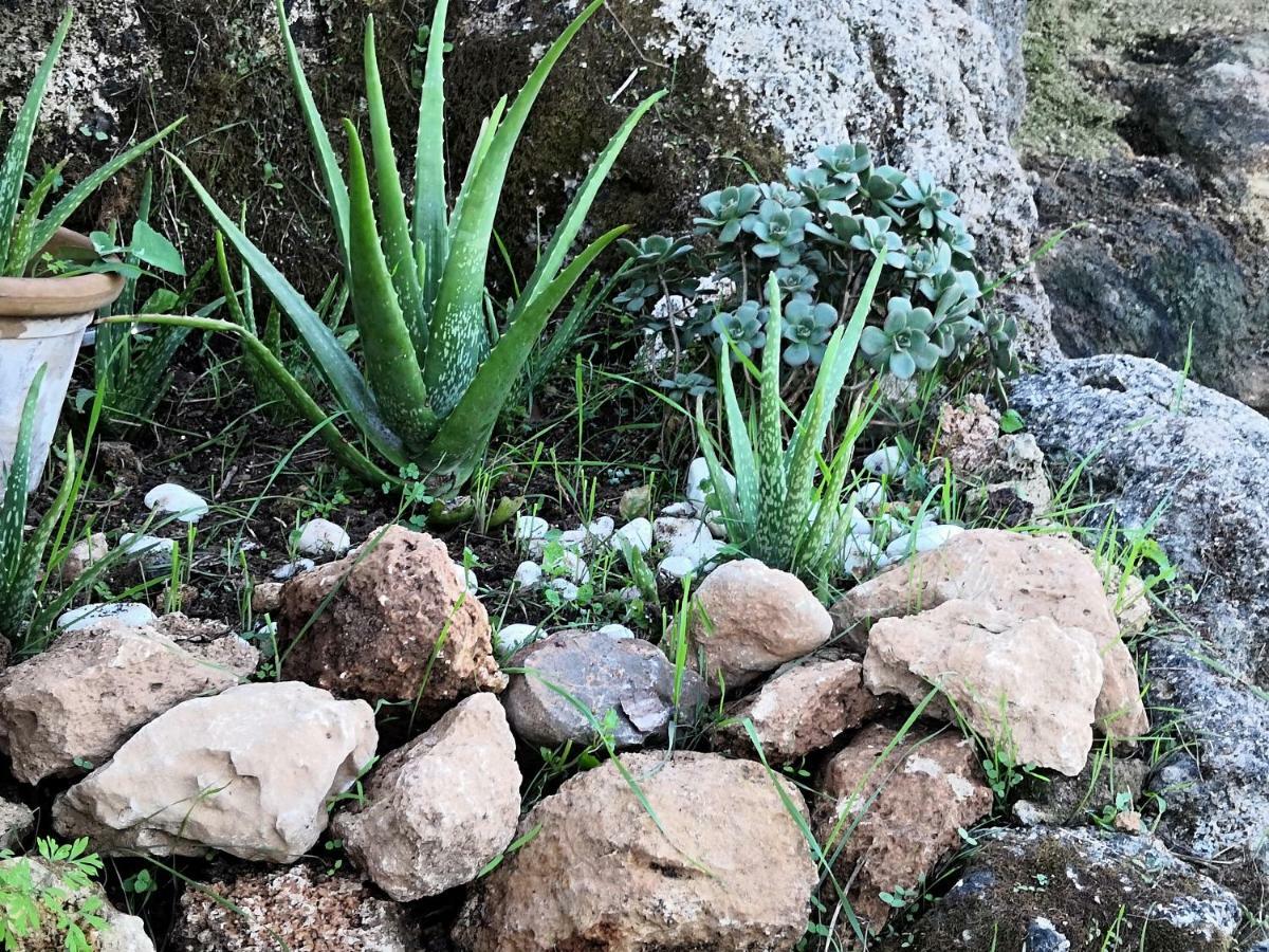 Finca Sa Cova De Mallorca سينييس المظهر الخارجي الصورة