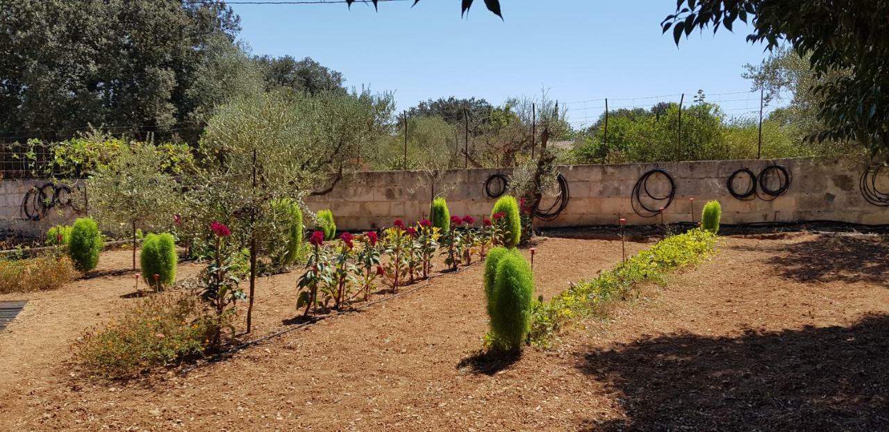 Finca Sa Cova De Mallorca سينييس المظهر الخارجي الصورة
